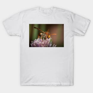 Paper Wasp T-Shirt